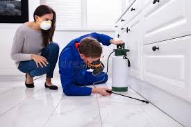 Best Commercial Pest Control  in East Whittier, CA